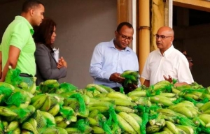 A la derecha del centro, el administrador Merca, Claudio Jiménez, quién afirmó que la sequía y los tornados mermaron la producción de plátanos.